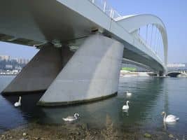 Pont Raymond Barre – Lyon